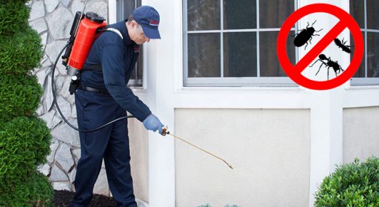 Etimesgut Karınca İlaçlama böcek ilaçlama ve haşere kontrolü — ilaclama-tr.com